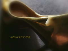 Who wants to cum in this golden fuck heels