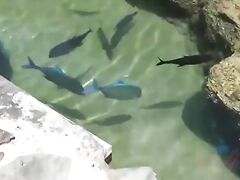 Hot date with Peyton Coast ends with jizz in her cooch