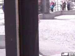 Hotties Sweet Cat & Angel Wicky are playing with each other