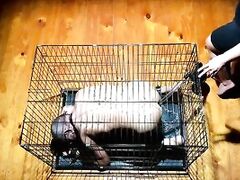 Dominatrix Mistress April - Cum when I count to ONE, slave