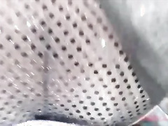 The Sultan's Favorite