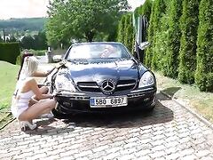 1 Beaver in the Front - 1 Beaver in the Back,