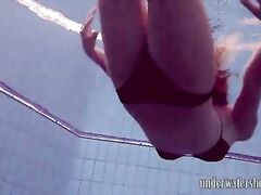 Lucy swimming in the pool