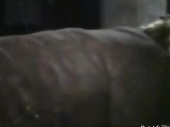 Natural Tits Redhead From Holland Fucked Good Again