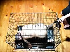 Mistress April - Slave Precision