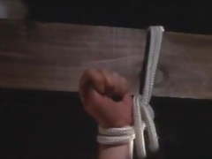 Japanese Tie & Shave