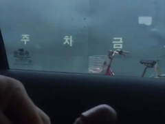 Lady spotted dick flash